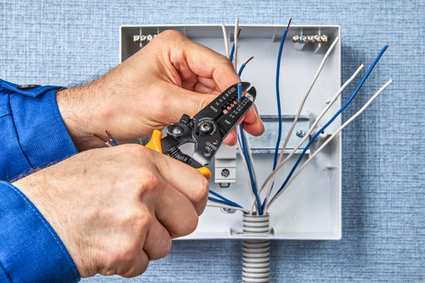 Best Electrical Maintenance Services  in Roswell, NM